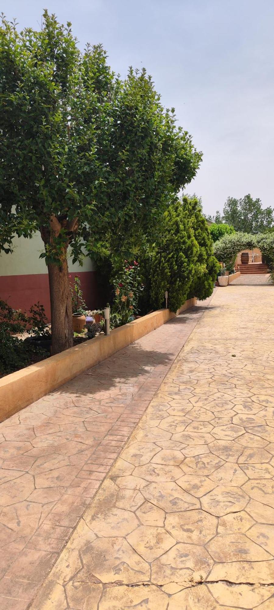 Casa Rural El Tejar サン・クレメンテ エクステリア 写真