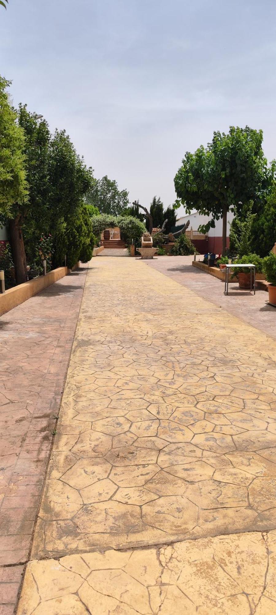 Casa Rural El Tejar サン・クレメンテ エクステリア 写真