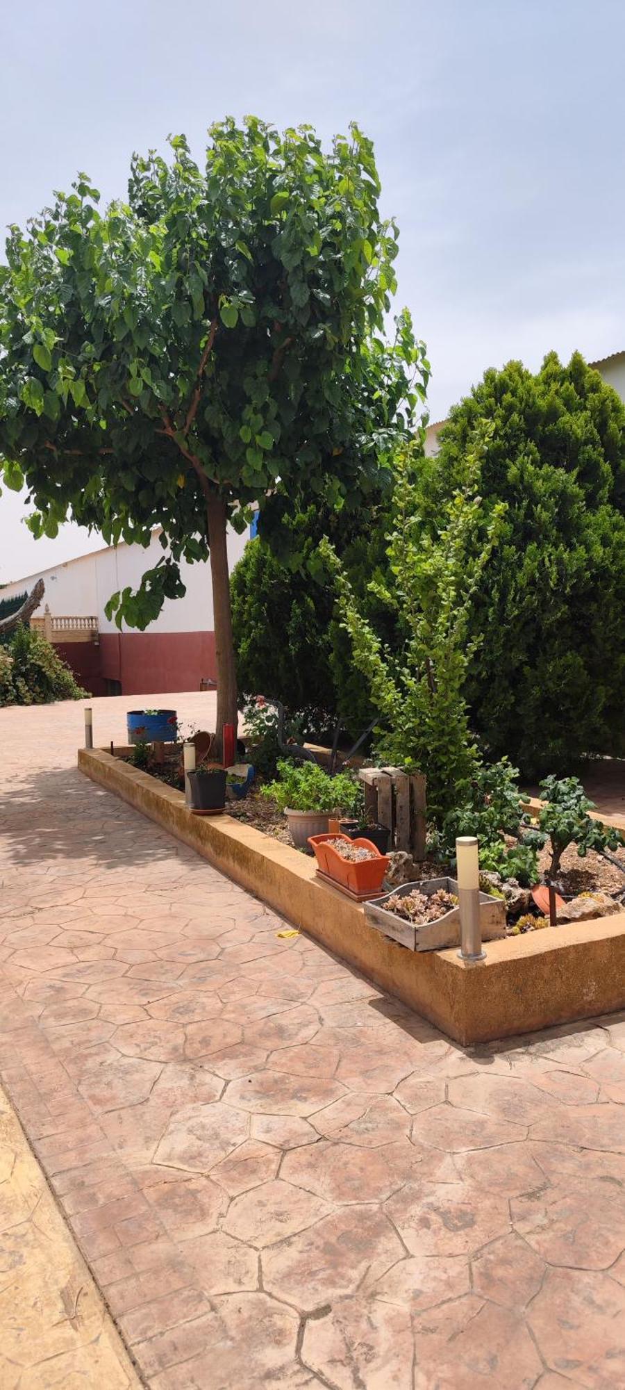 Casa Rural El Tejar サン・クレメンテ エクステリア 写真